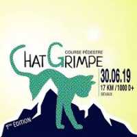 Chat Grimpe 